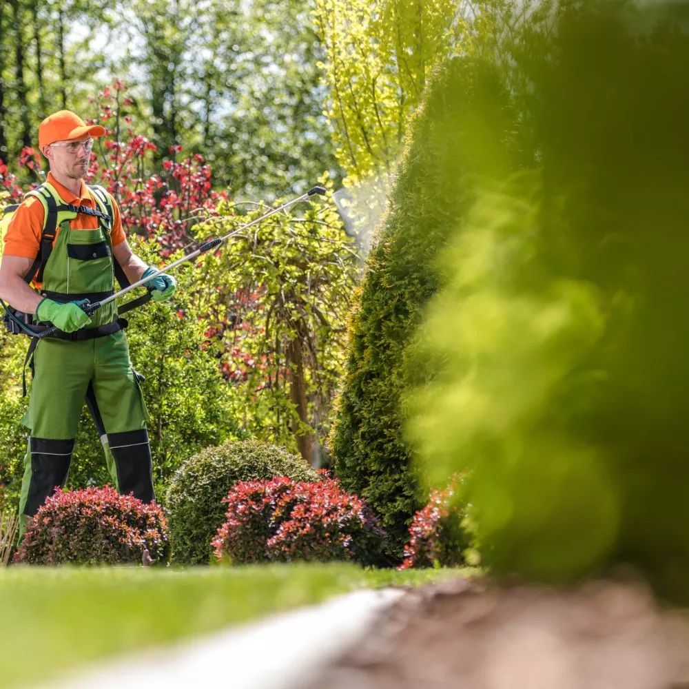 Professioneel tuinieren